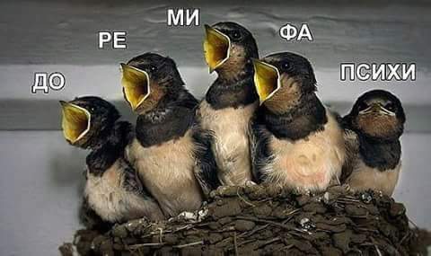 �������! ���!