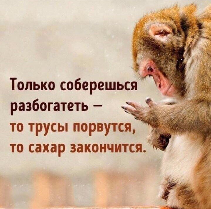 ��� ���������