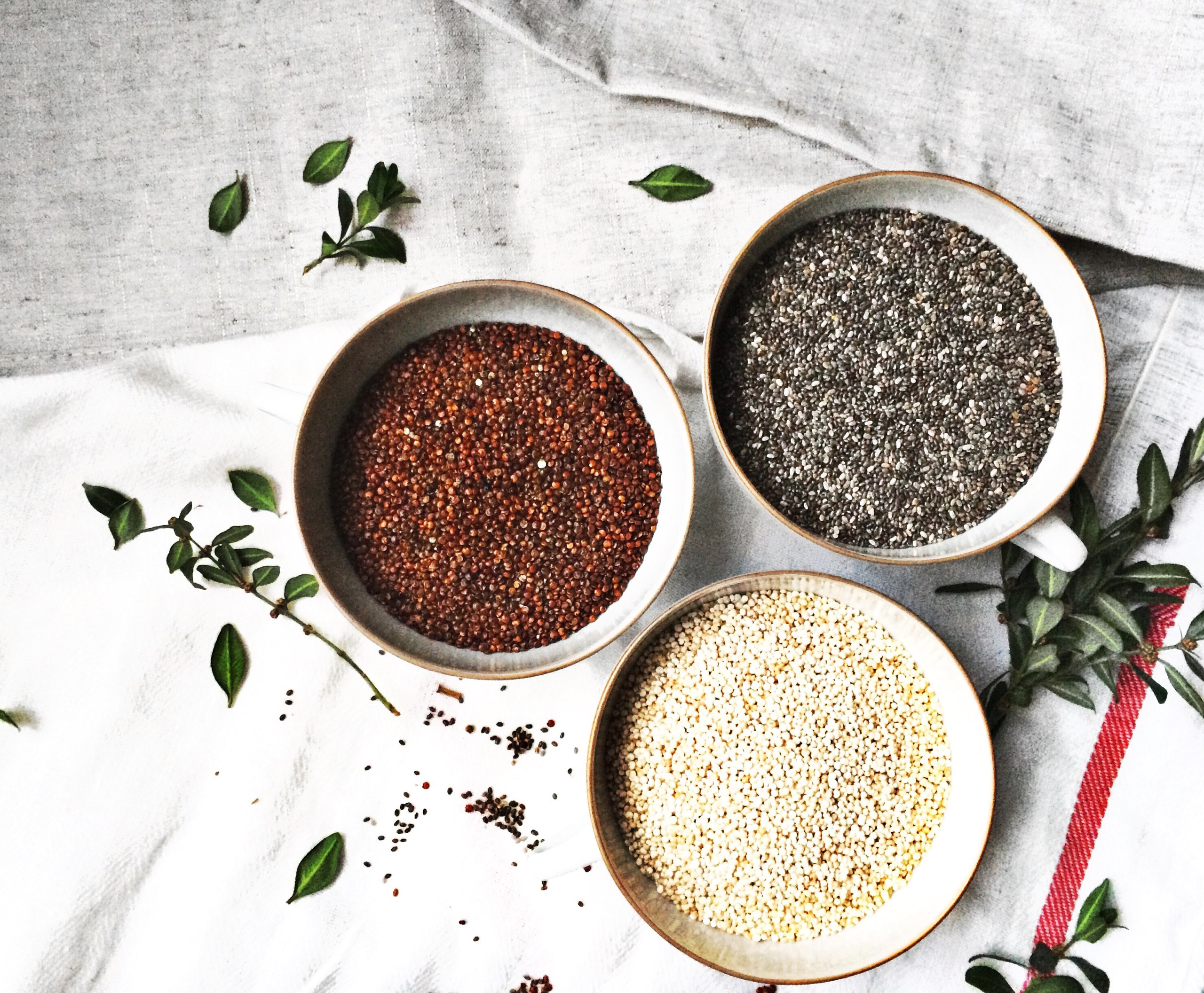 ������������ ��������: �����, ���, �������, ���������� � ����������� ����. �������! ������ ����� ������������ "Fitnessier"