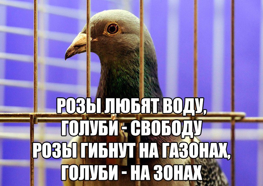 ����������� � ������� ������� ������ c ������ ��������� ����������. � ������� ���� ������������� ������������ ��������� ����� �������