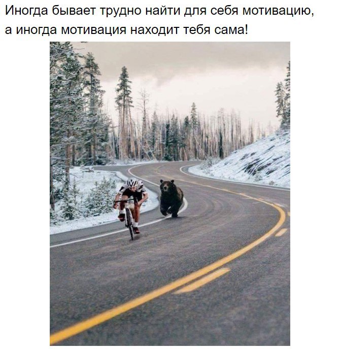 ���������� ��������� — ����� ������