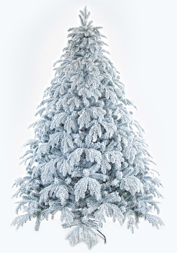 ����������� ����������) �����������, �����, ����� )))))