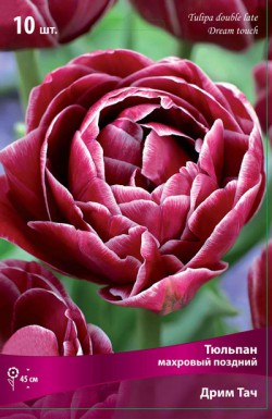 ���� ������� �� 07.06.--- ���o��r�� �o�ck --- ����� 2017 : �������� �� 42�,�������� �� 55�,����� �� 40�, ����� �� 65�, ��������, �������, �����, � ������ ������ � ��� �� ������� ������. ����� �������! 