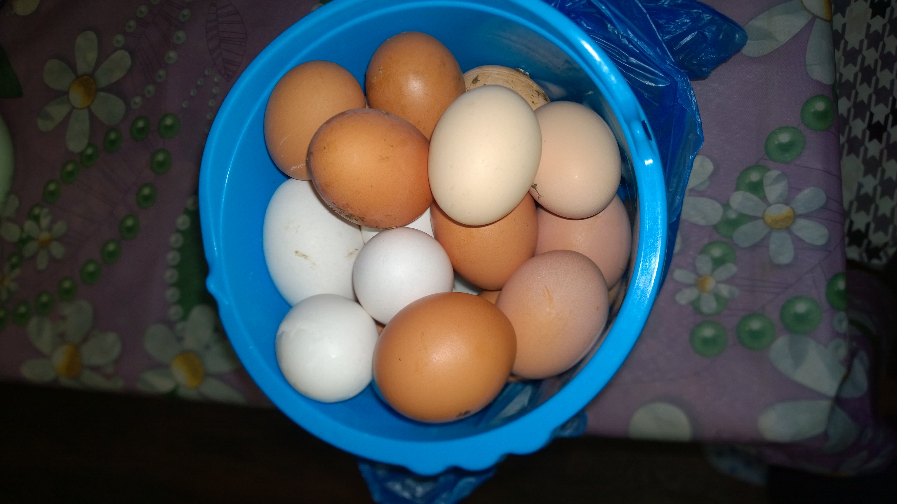 ������� ���� ������!!!! ��������� ����������� ����� �� ����� ������� 100�. ������� ������ ��������! ������ ��� ������� � ���! ���������� ��� ����. � ������ ���� �������. �������� � �������� � ��������. ���� �� �������! 