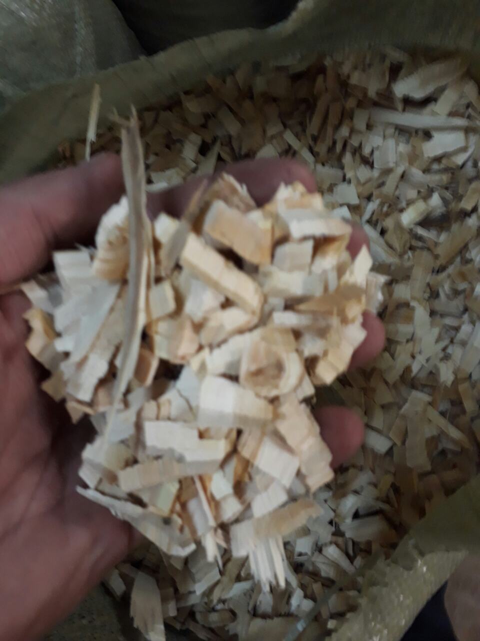 !!!�������!!! ���� ��� ���������!!! � ����� ���� ��� ��������) ���������, ������ ��� ������������� �������. �������� �����? ����?) ������ ����!)