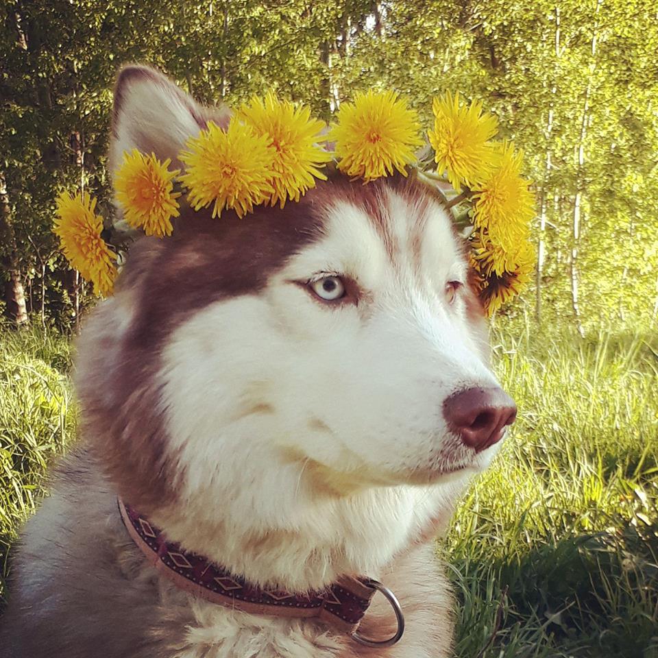 ��� ������������� �������...) 