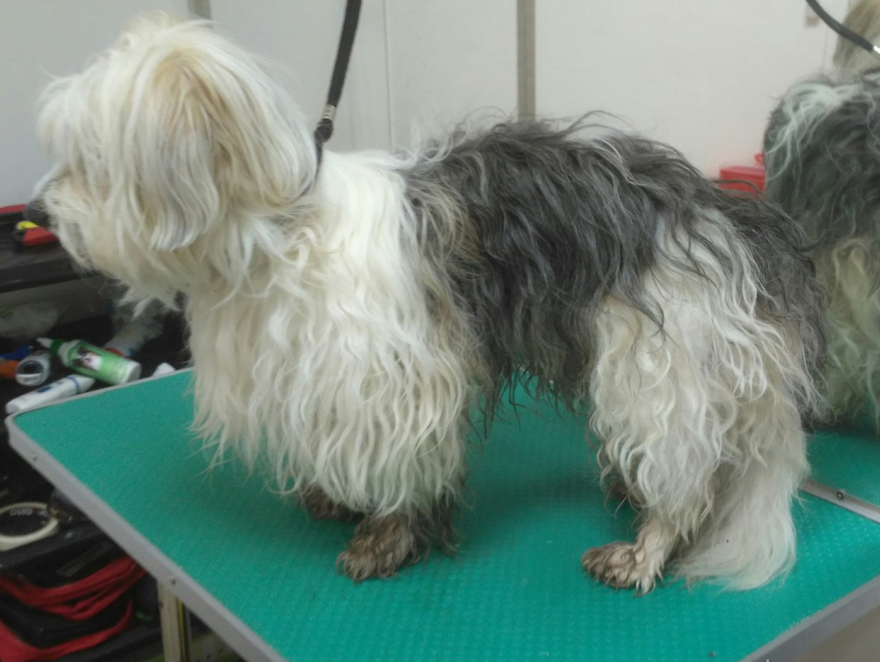 ��������� ������������ �������.