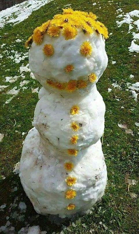 ���������� �������� ������! ���������� ���� �������!!!