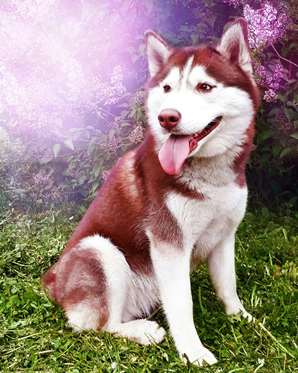 ����� � ������