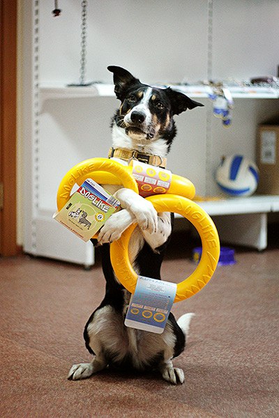 �������-������� ��� ����� � ��������������� ���������� �� ��������� �����.