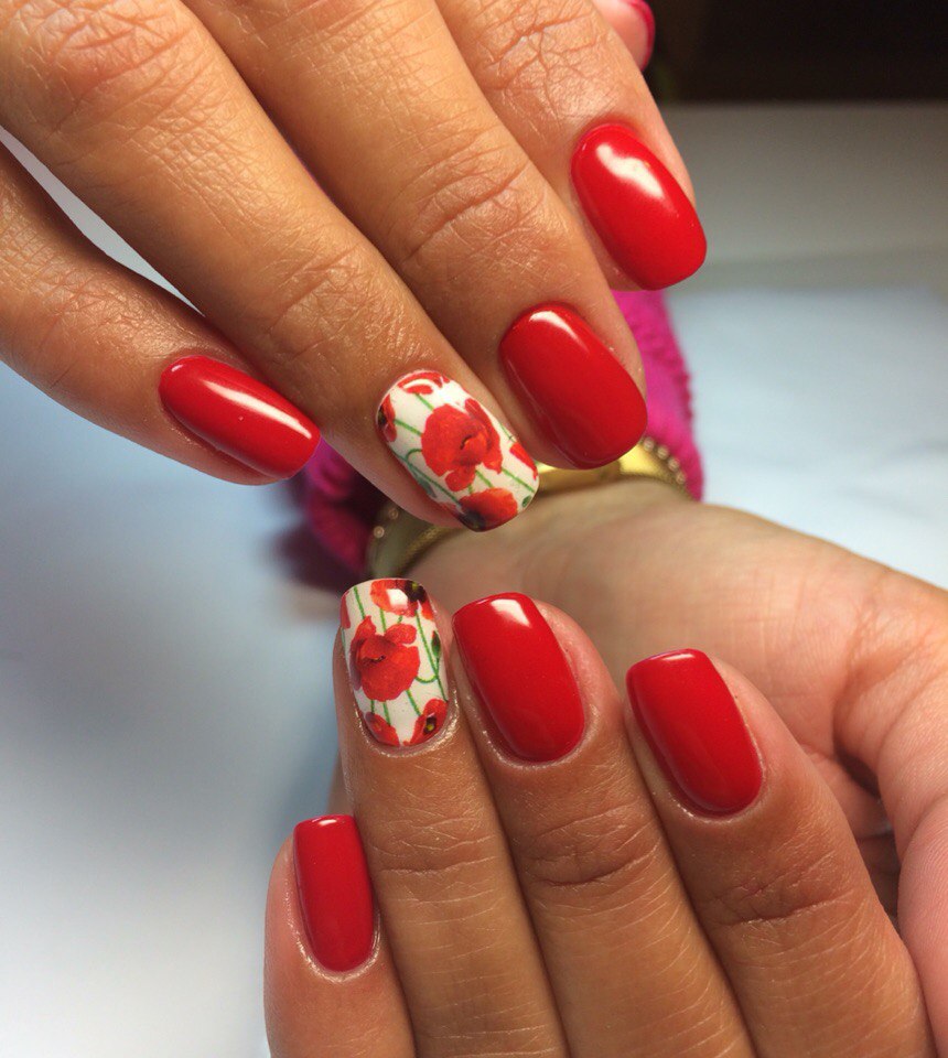 �������-������ �� "Excellent beauty" - 23 ��� ��. 