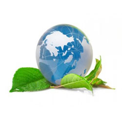 ���� �������. ��������� � �������� ������� ��� ���� �����.