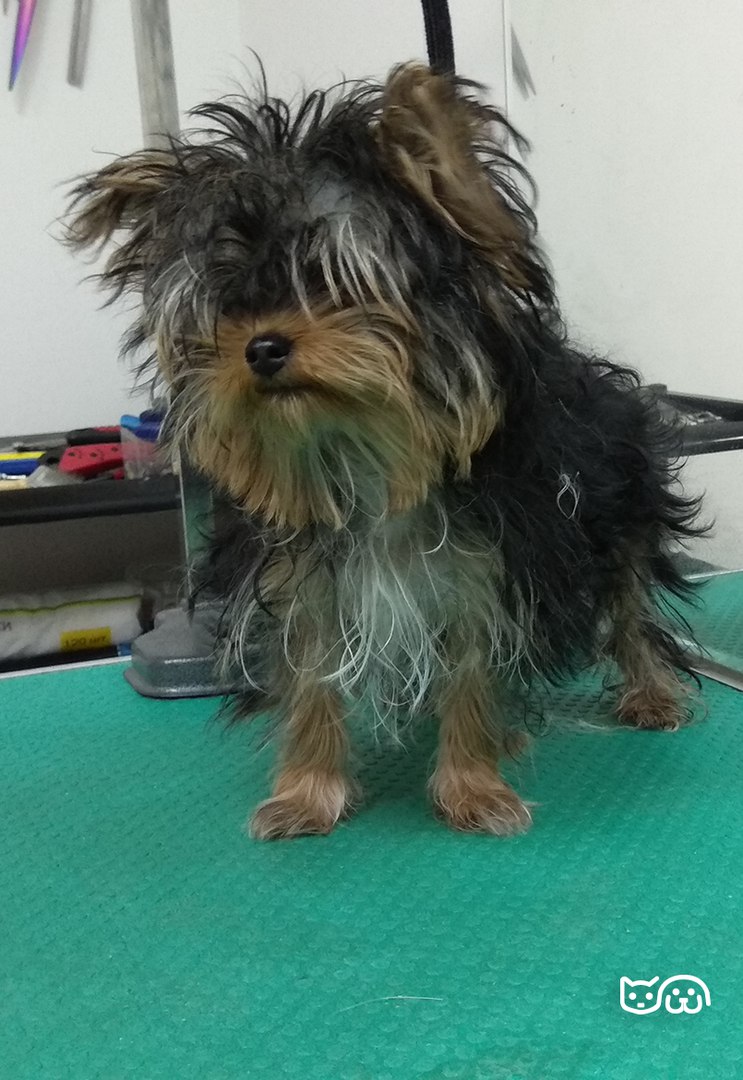 ��� �� ������ ������� ��������.