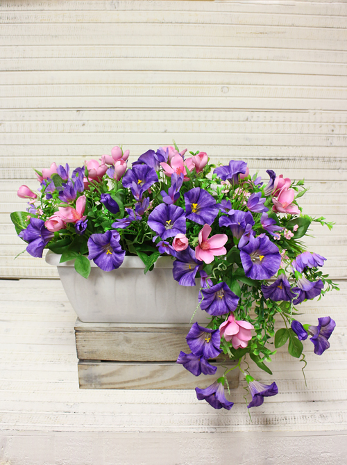 ������������� ��������, ����� �������!