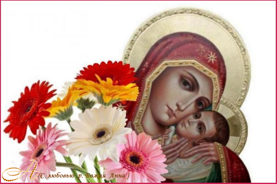 ������  �  ��������������  ���������  ���������� !