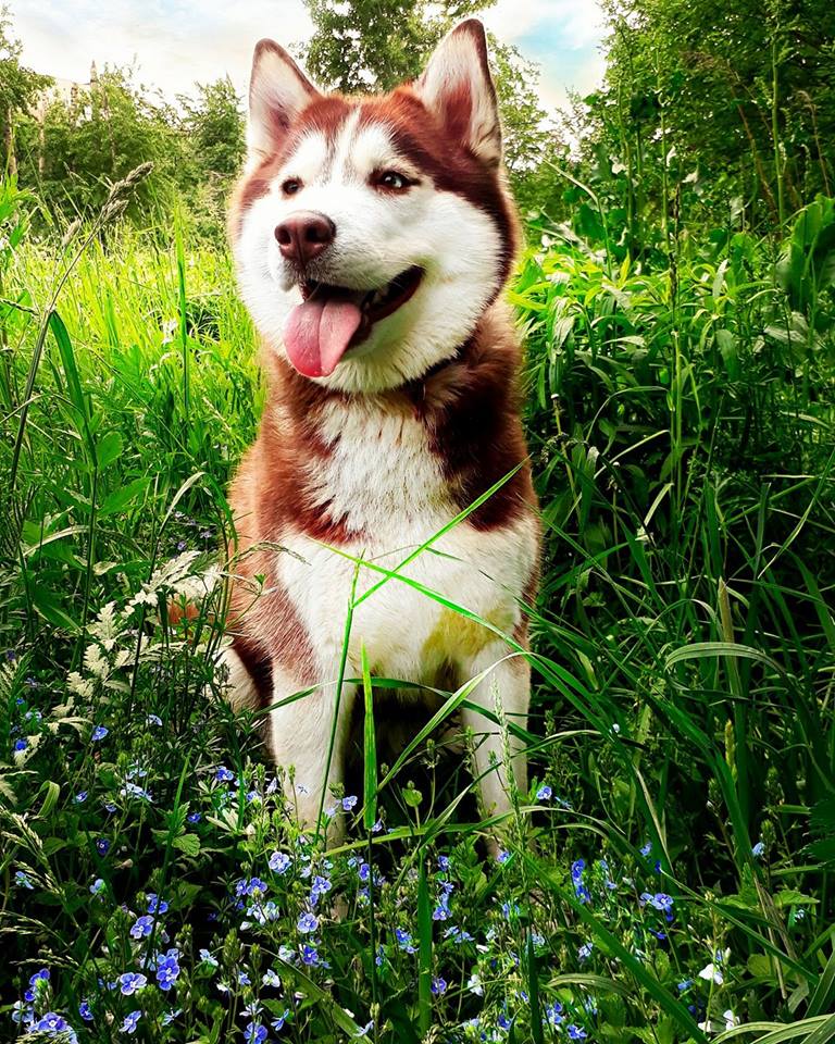 ����� � ����������