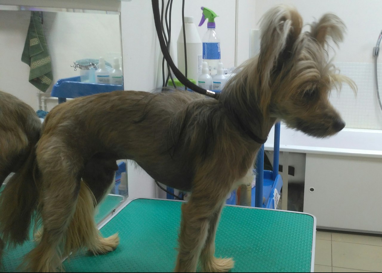 ��, �� � ����� ���� �������) �����, ���������� � ���� ��... ������� ������) 