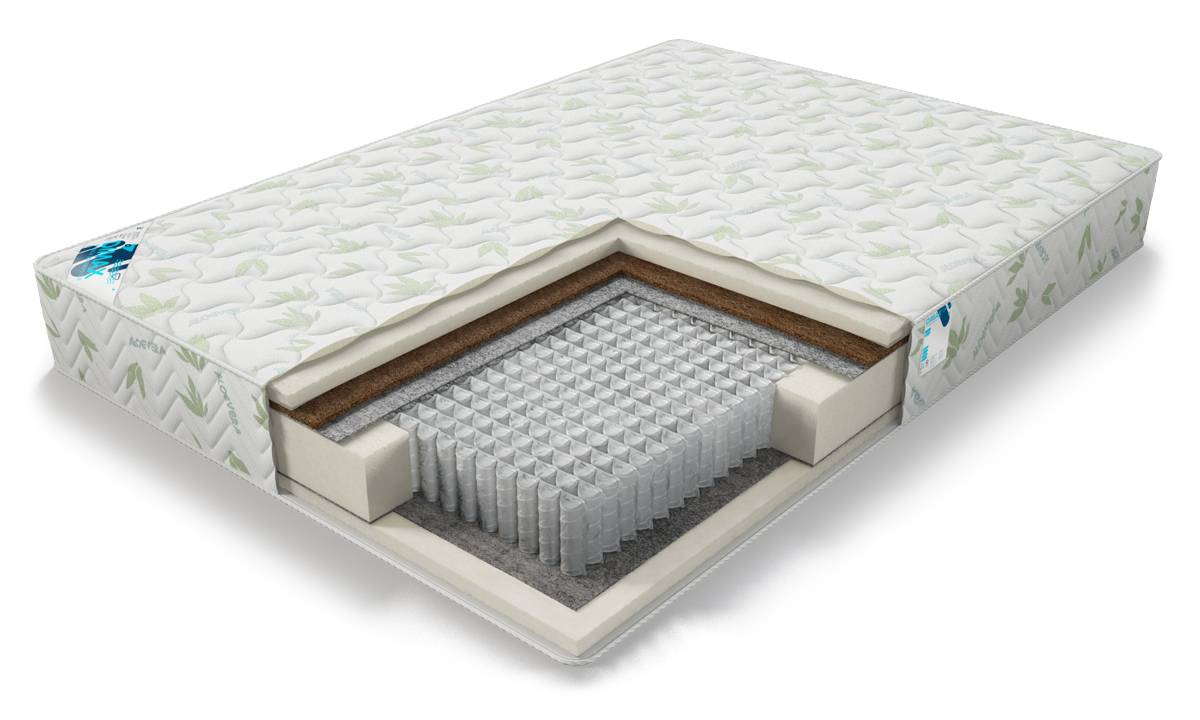 ���� �� 10/06. ������� ���*��� 12