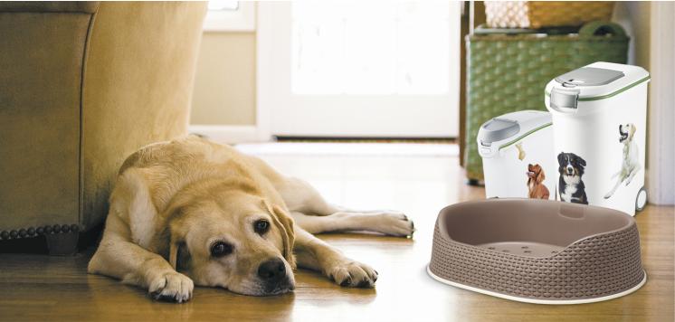 ���� ������� �� 10.07. ��������� � ������� ���� ������������. ������� � ������������� ��� Curver � Fimako. �������� ������ ����!