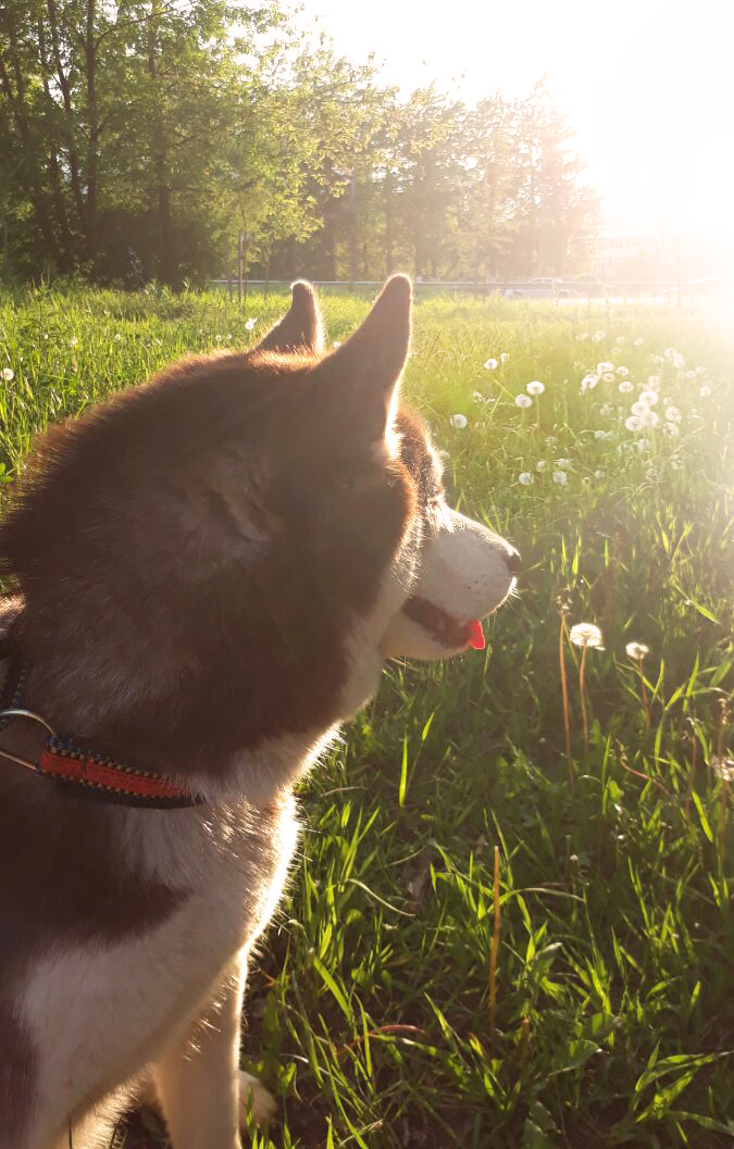 ���� � ������ ������ � ����������