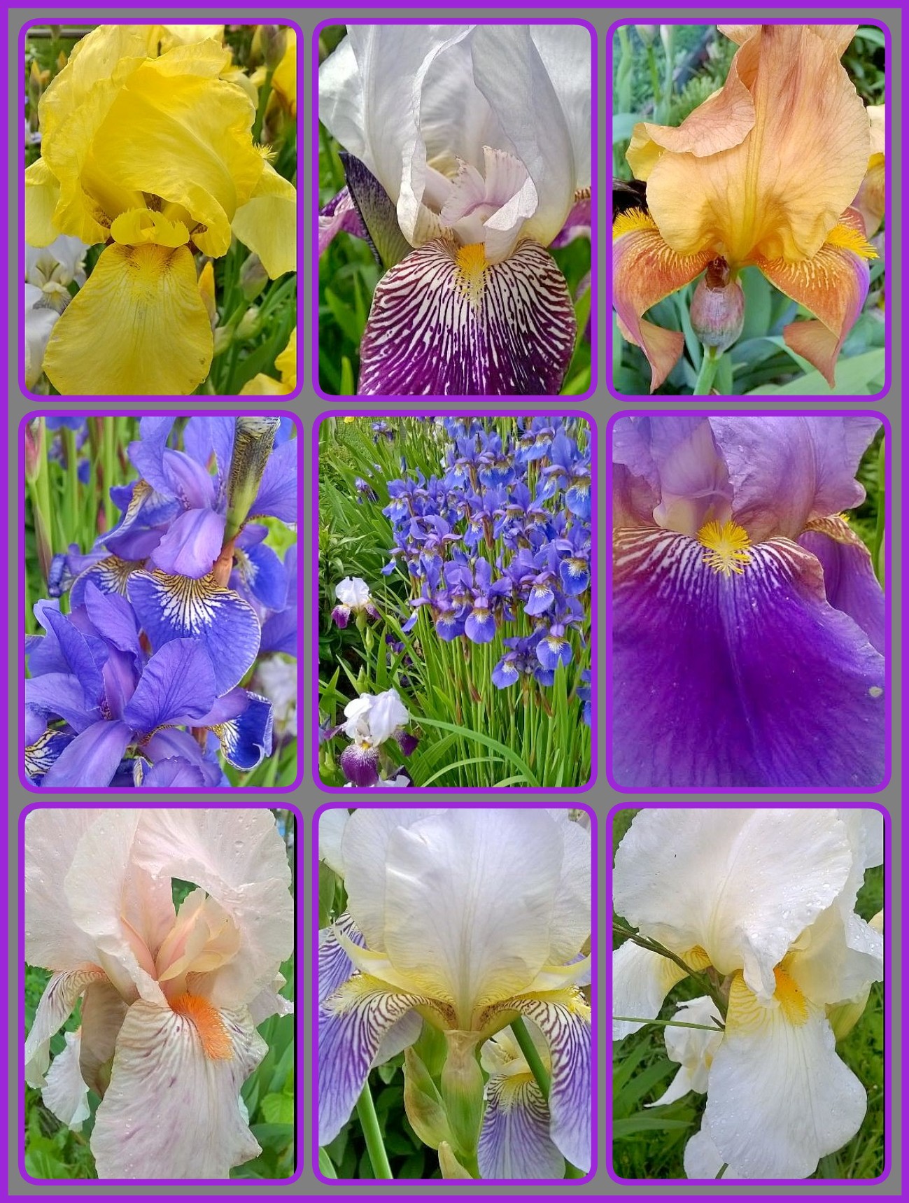 � ��� ������� �������...