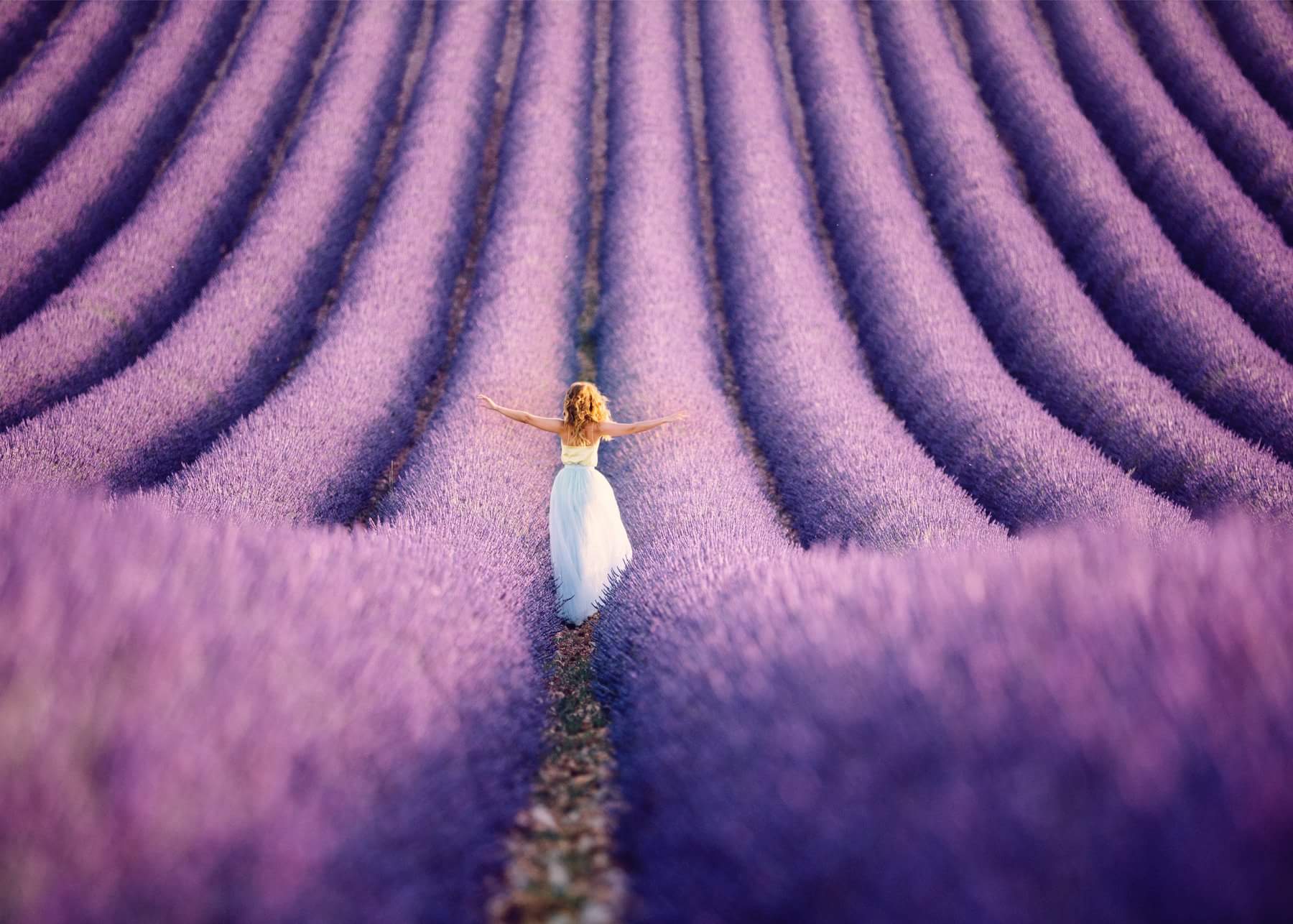 ����� ������� - ����� �������...