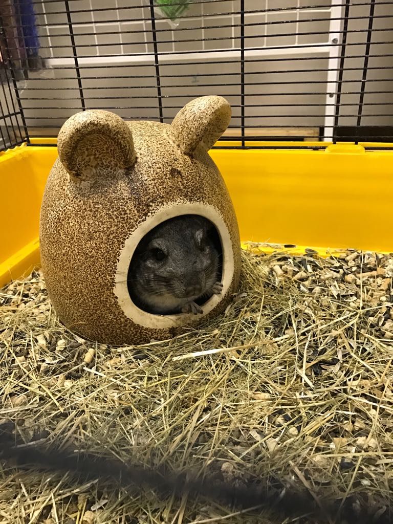  � ��� ���� �����?) ��� ���� 