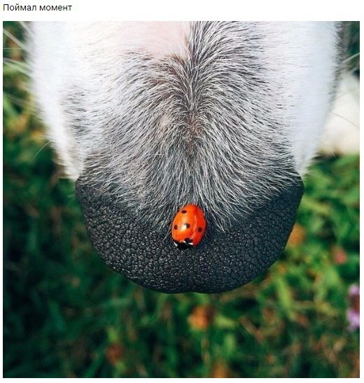 ������� ����