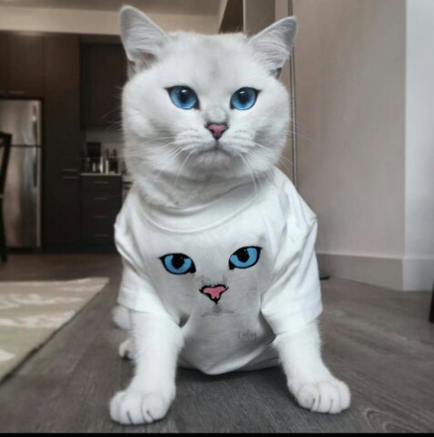 ������� ����