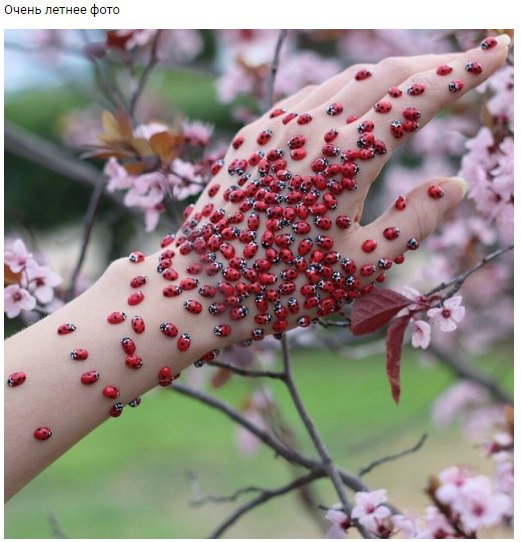 ������� ����