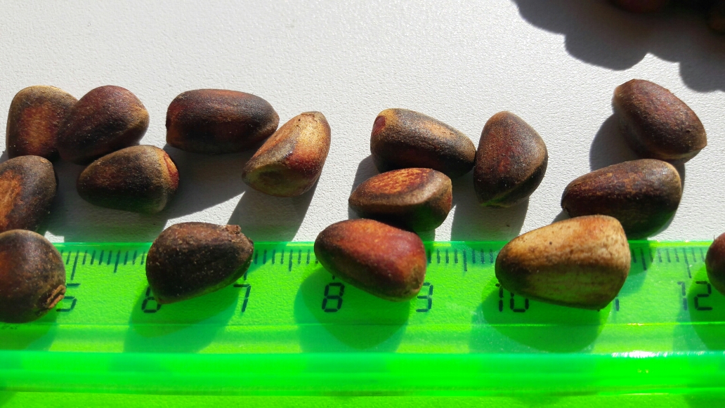 ���� �� 06.07. ���� �������! �������� ��������� (����, ����, �����, �����, �������, ������). ���� ������. ��� ���� ������ � �����������.