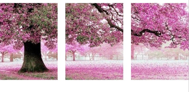 ������. ���� ����� ��������. �������� ��������. �������� ��������� ��� �������� � �����.