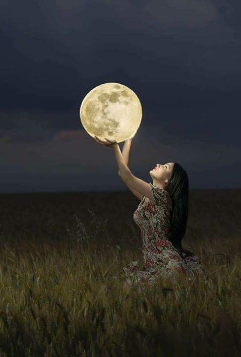 ������ ����...