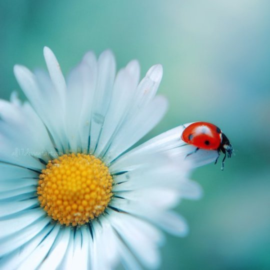 ��� ������ �����! ���� ������ ������� �� ������! � � �������� �� ���� - ������ ������� �� �������...