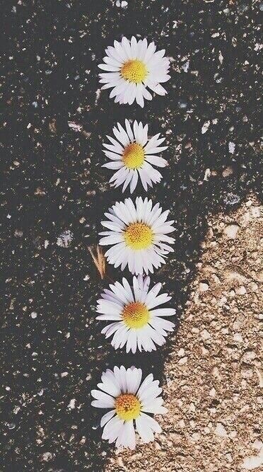 ��� ������� ������� ������ ���� �����: "�����" � "������������ ������� �����-��"...