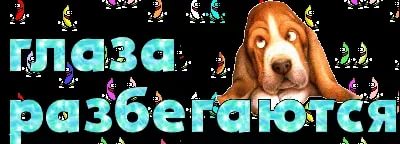 ���� �� 6.07. ��� � �������. ���� �����-6! ���������� �� 178 ���, ������� �� 156 ���, ���� �� 125�, ��������� �� 245 ���.