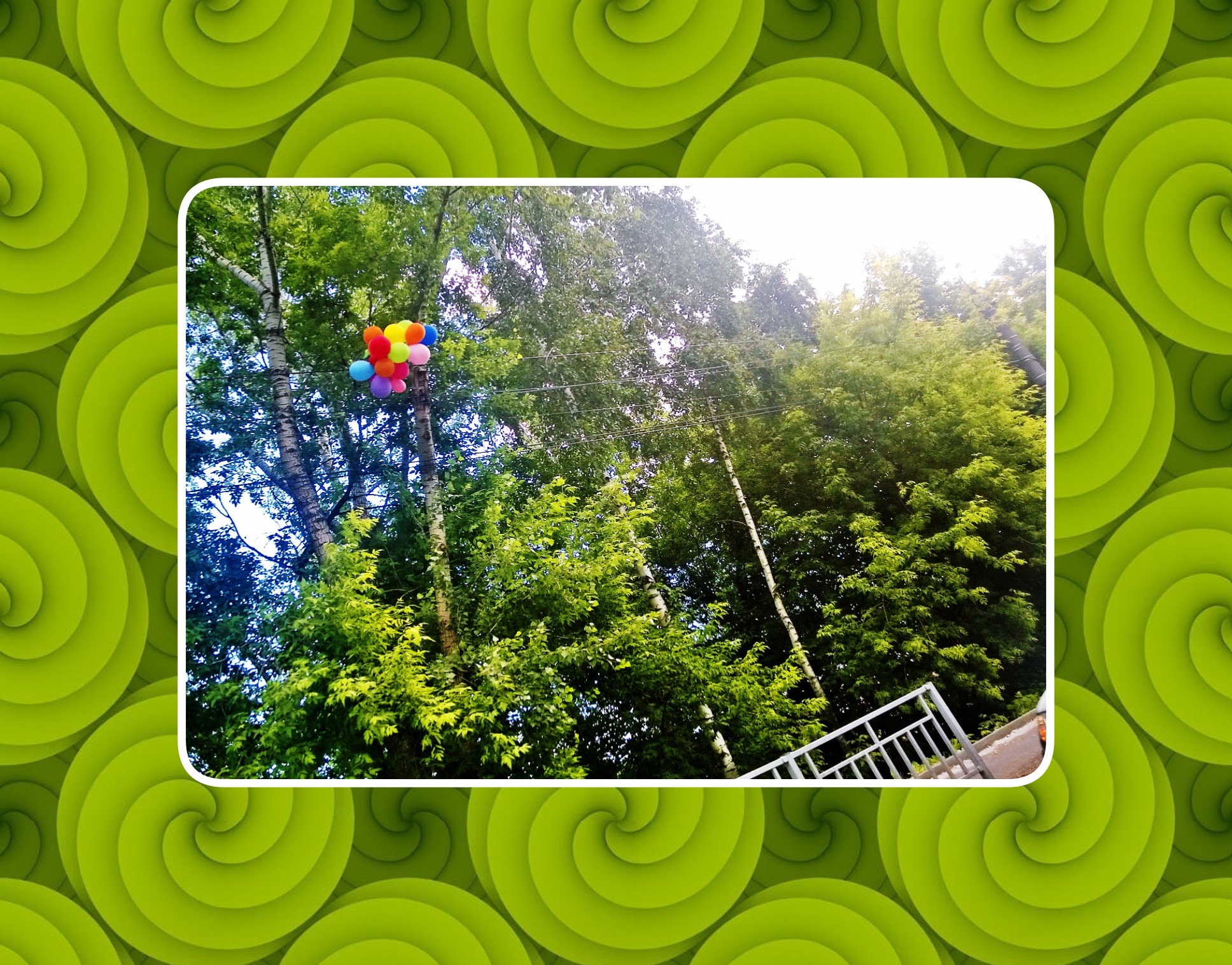 ����-�� ����� ����� �������...(((