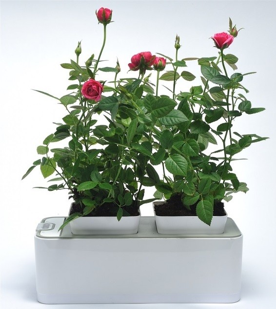 ��������� � ��������� "��������" �������