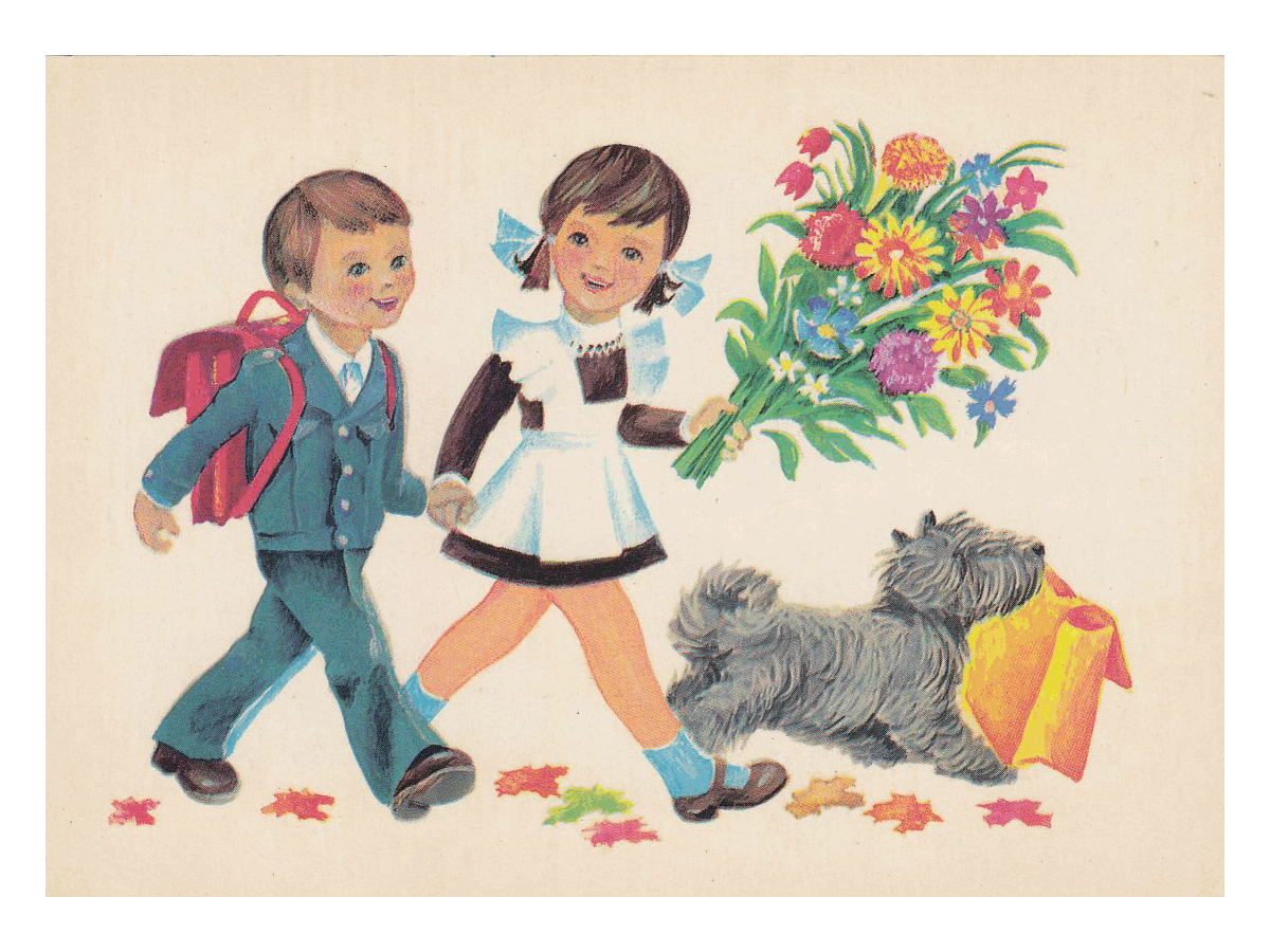 ���������� �������� ����� - �����, ������� � �����, ��������