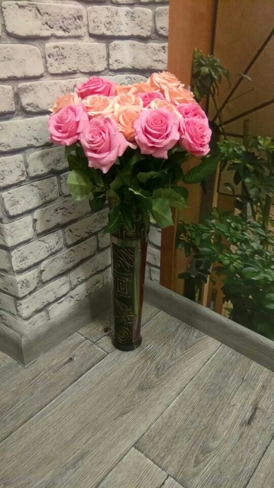 ���� �������. ������������� �������� - �������-��������! �������� � ������ ����������  90%. ������� — ����. 3