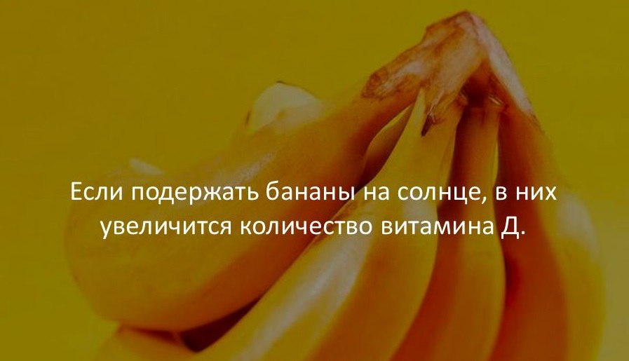 �����