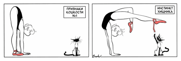 �������� ��������