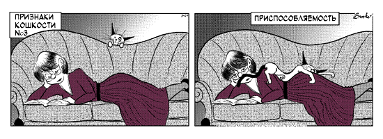 �������� ��������