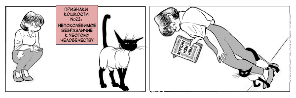 �������� ��������