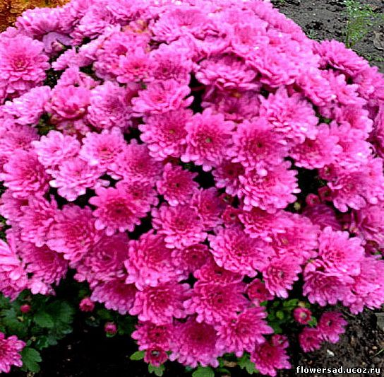 ���� �� 20.07. ��������, ����������, ������������ �� �� ������������� �������. ���� 6.