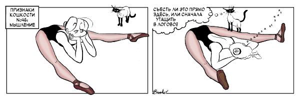 �������� ��������