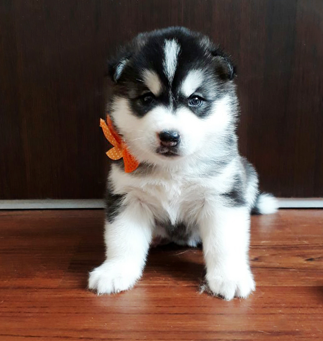 ����������