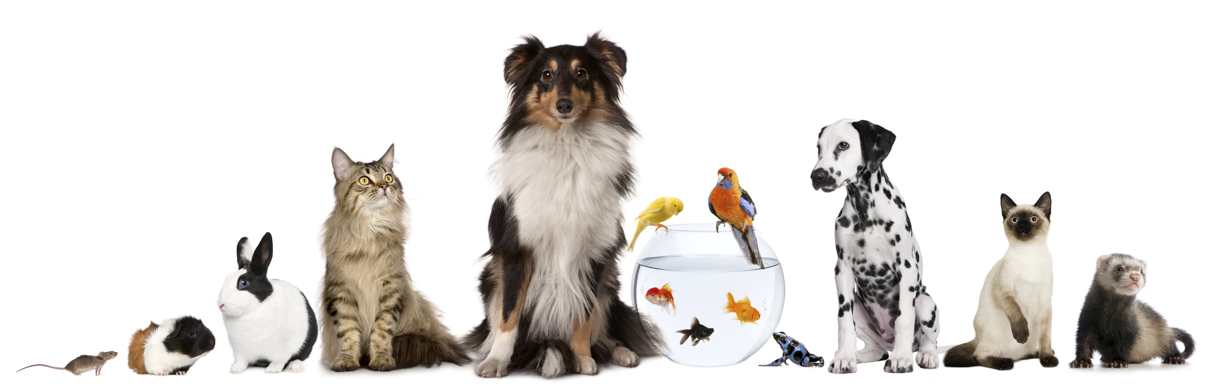 ���� ������� �� 21.07. ����������! ���������. TiT*Bi*T, T*ri*ol, Jr F*a*r*m. ���� 16.