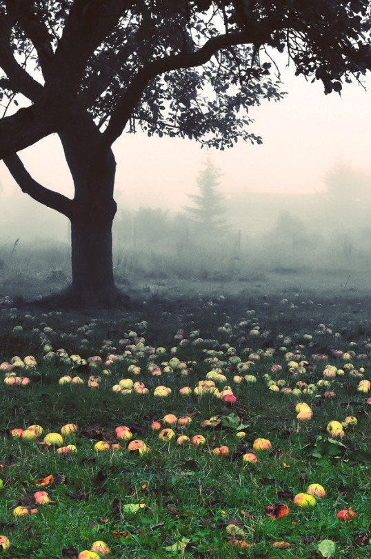 ������� �� ��������...