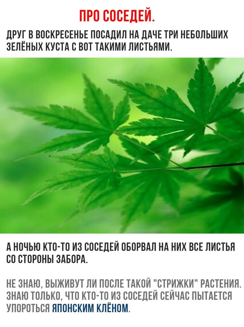 �����
